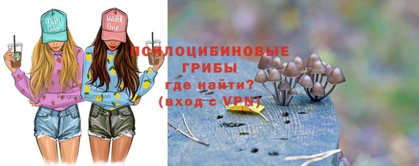 прущая мука Вязники