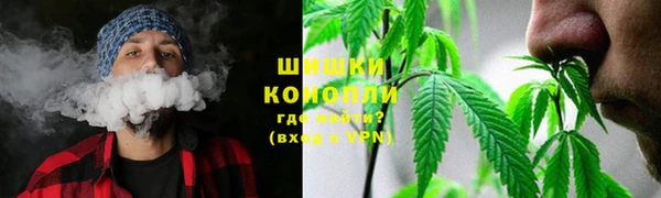 ешки Вяземский