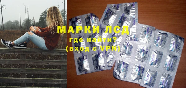 ешки Вяземский