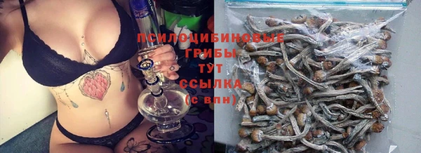 бошки Володарск
