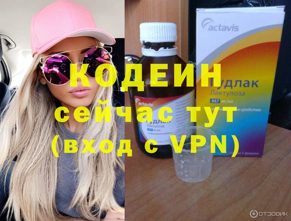 ешки Вяземский